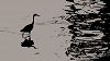 Peking Spring w/ Jon K 15.05.25 Radio Episode