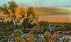 West Coast Fog: Springtime Feelings 29 Apr 2026 Radio Episode