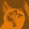 Le Jardin w/ Sarah Davachi