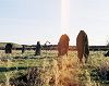 Weird Walk's Summer Meditation