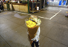 Sui Zhen - Flowers for Everybody 25 Aug 2026 Radio Episode