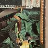 Ohbliv 27 Jul 2026 Radio Episode