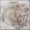 carriage 1: swaampcat w/ Dani Roade 17 Jun 2026 Radio Episode