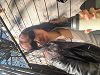 Self Soothe w/ Kalia Vandever 16 Jun 2026 Radio Episode