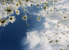 The Windmills of Your Mind w/ Taylor Rowley 13 May 2026 Radio Episode