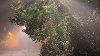 dreamy dance for my baby w/ hgnup