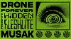 HIDDEN FLESHLITE MUSAK w/ DRONE FOREVER