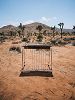 Reimagining Country: Pedal Steel Special ft. Joe Harvey-Whyte 16 Aug 2025 Radio Episode
