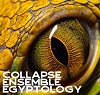 Egyptology w/ Collapse Ensemble