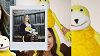 Oizo Compilation W/ Flat Esoteric