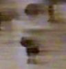 7038634357: Virginia Rain