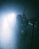 Luis Alvarado - NEW LATIN AMERICAN SHOEGAZE 13.07.25 Radio Episode
